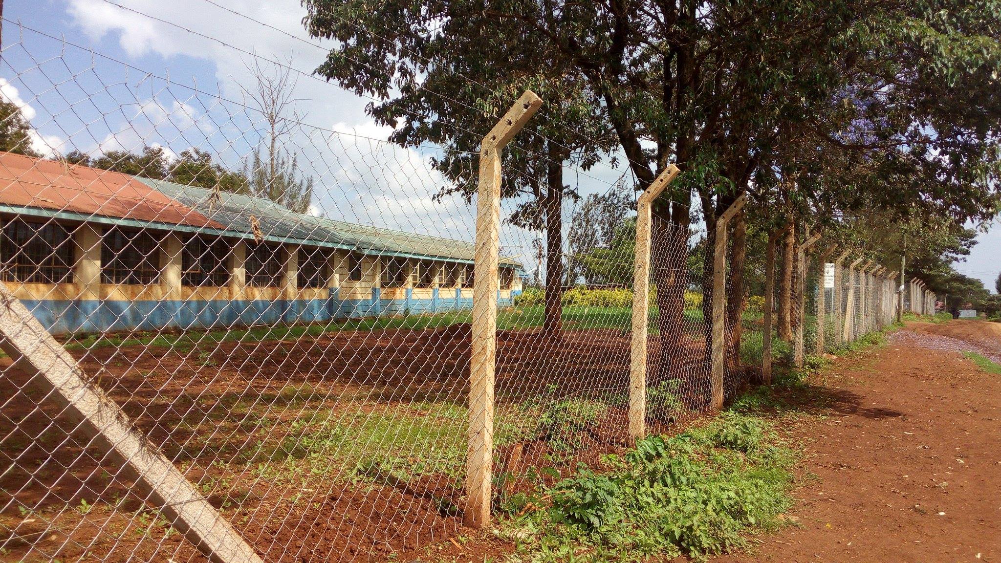 https://roysambu.ngcdf.go.ke/wp-content/uploads/2021/11/00120.jpg